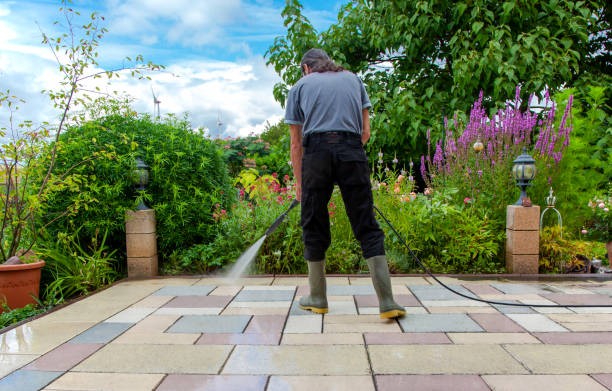 Best Fence Cleaning  in Two Harbors, MN